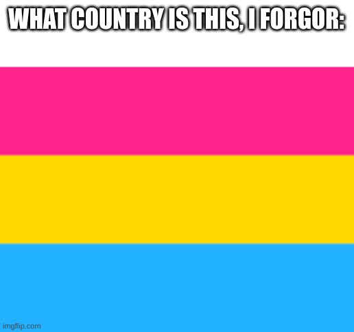 Pansexual flag | WHAT COUNTRY IS THIS, I FORGOR: | made w/ Imgflip meme maker