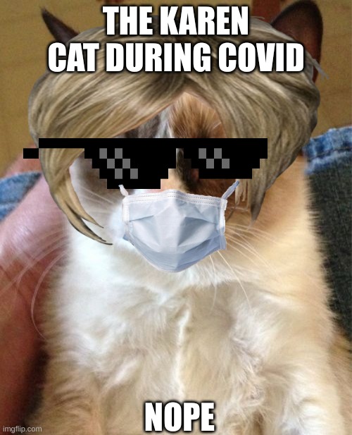 miss karen cat | THE KAREN CAT DURING COVID; NOPE | image tagged in grumpy cat | made w/ Imgflip meme maker