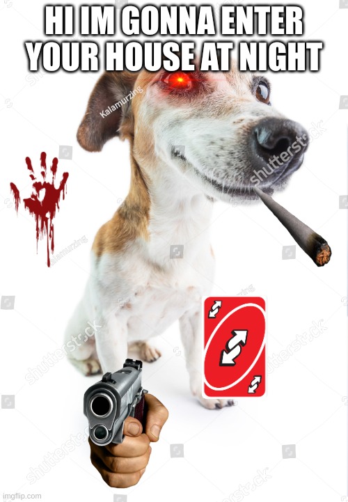 shutterstock dog is coming for you | HI IM GONNA ENTER YOUR HOUSE AT NIGHT | image tagged in stock photos | made w/ Imgflip meme maker