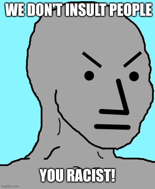 NPC meme angry | WE DON'T INSULT PEOPLE YOU RACIST! | image tagged in npc meme angry | made w/ Imgflip meme maker