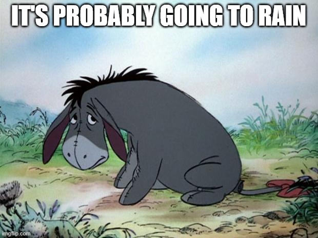 It's probably going to rain | IT'S PROBABLY GOING TO RAIN | image tagged in eeyore,rain | made w/ Imgflip meme maker