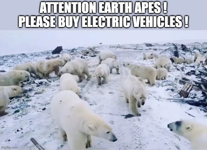 John Kerry's Climate Refugees that still remain after Al Gore Decimated them | ATTENTION EARTH APES !
PLEASE BUY ELECTRIC VEHICLES ! | image tagged in al gore,john kerry,climate change,refugees | made w/ Imgflip meme maker