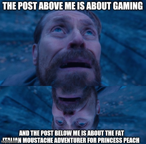 Lol | THE POST ABOVE ME IS ABOUT GAMING; AND THE POST BELOW ME IS ABOUT THE FAT ITALIAN MOUSTACHE ADVENTURER FOR PRINCESS PEACH | image tagged in willem dafoe,willem dafoe looking up | made w/ Imgflip meme maker