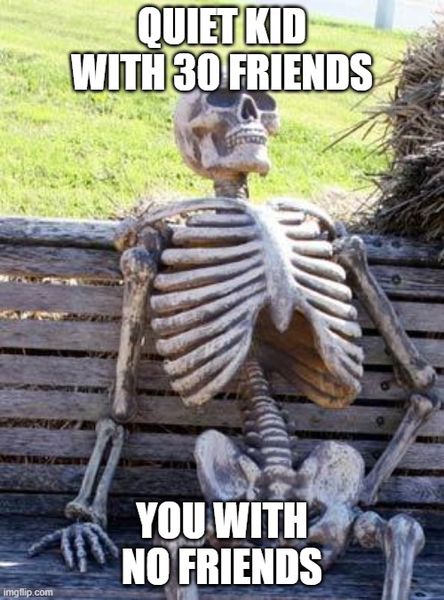 Waiting Skeleton | QUIET KID WITH 30 FRIENDS; YOU WITH NO FRIENDS | image tagged in memes,waiting skeleton | made w/ Imgflip meme maker