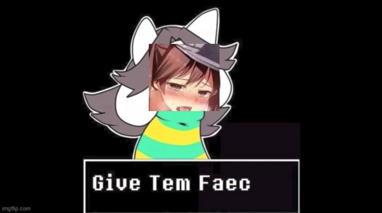 Give temmie a face | image tagged in give temmie a face | made w/ Imgflip meme maker