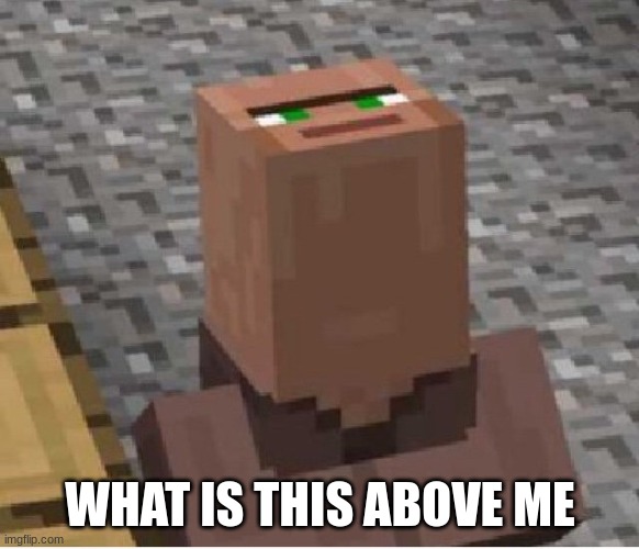 What is this above me? | WHAT IS THIS ABOVE ME | image tagged in minecraft villager looking up | made w/ Imgflip meme maker