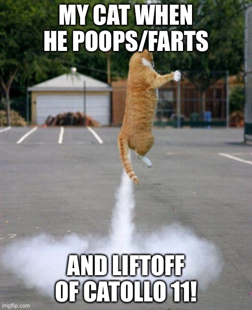 JUST A NORMAL CAT | MY CAT WHEN HE POOPS/FARTS; AND LIFTOFF OF CATOLLO 11! | image tagged in rocket cat,fart,poop | made w/ Imgflip meme maker