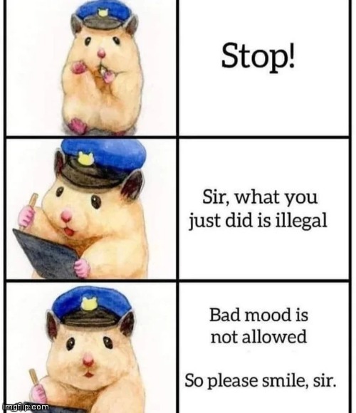 No Bad mood allowed | image tagged in no bad mood allowed | made w/ Imgflip meme maker