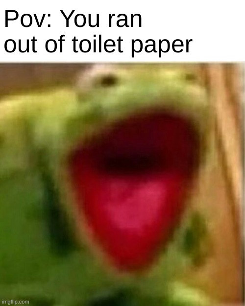 Who has had this happen to them before? | Pov: You ran out of toilet paper | image tagged in ahhhhhhhhhhhhh,memes,funny,bathroom,kermit the frog,screaming | made w/ Imgflip meme maker