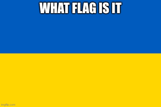 what flag is it not right | WHAT FLAG IS IT | image tagged in a blue flag | made w/ Imgflip meme maker