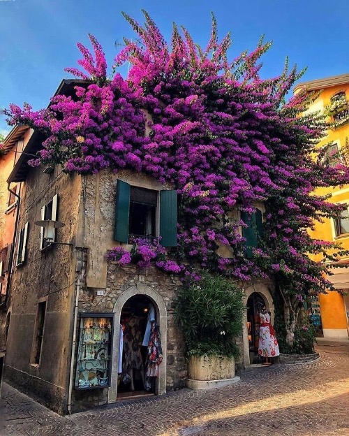 Sirmione, Italy | image tagged in awesome,pics,photography | made w/ Imgflip meme maker