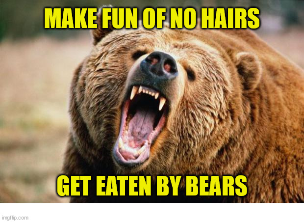 The Bible got some crazy stories | MAKE FUN OF NO HAIRS; GET EATEN BY BEARS | image tagged in bear angry,dank,christian,memes,r/dankchristianmemes | made w/ Imgflip meme maker