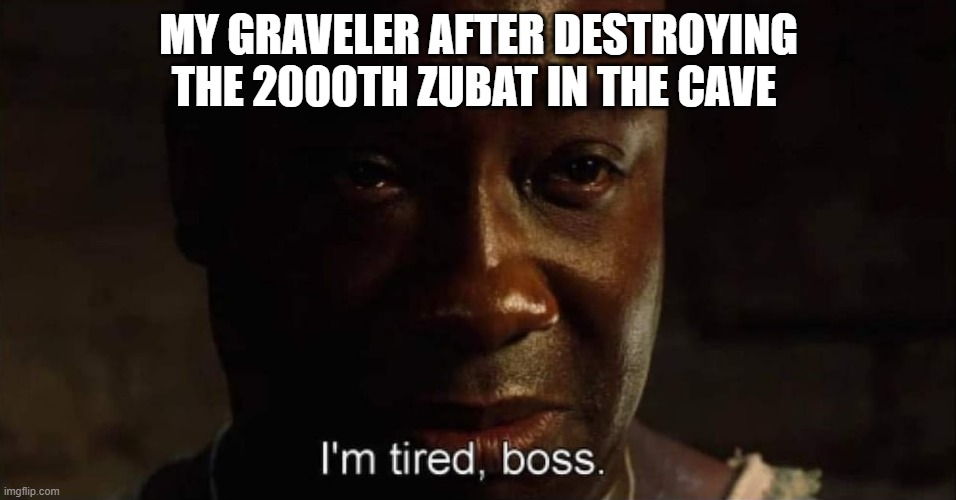 This is why we use repels |  MY GRAVELER AFTER DESTROYING THE 2000TH ZUBAT IN THE CAVE | image tagged in i'm tired boss,pokemon,memes,dank,funni | made w/ Imgflip meme maker