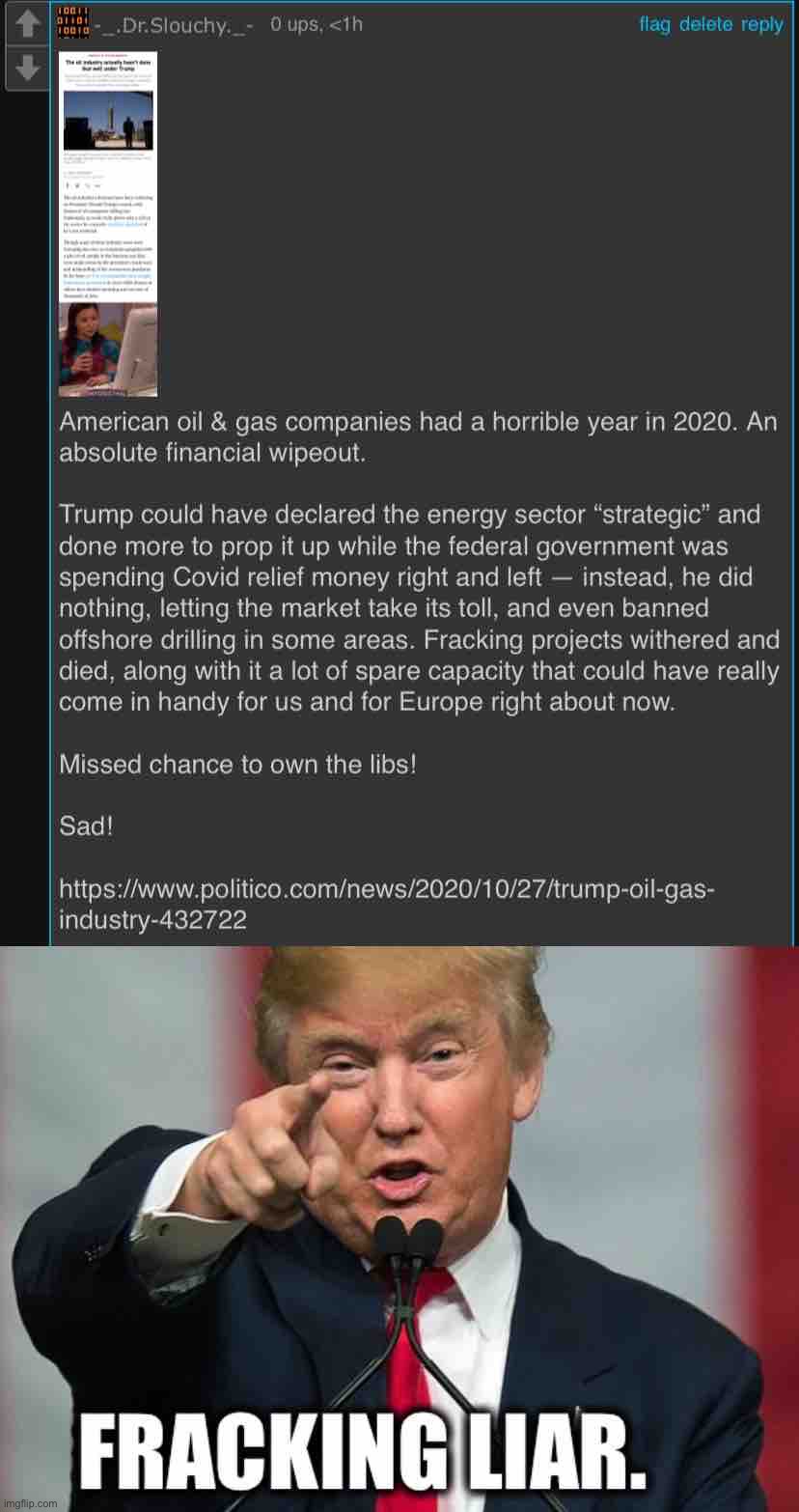 Tl;dr Donald Trump is a _______ ____. Sad! | image tagged in dr slouchy roast trump oil industry,fracking hilarious | made w/ Imgflip meme maker