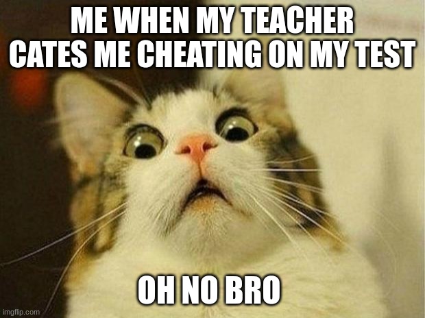 Scared Cat Meme | ME WHEN MY TEACHER CATES ME CHEATING ON MY TEST; OH NO BRO | image tagged in memes,scared cat | made w/ Imgflip meme maker