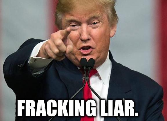 High Quality Donald Trump fracking liar Blank Meme Template