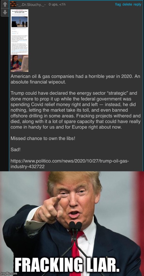 Tl;dr Donald Trump is a fracking liar. Sad! | image tagged in dr slouchy roast trump oil industry,donald trump fracking liar | made w/ Imgflip meme maker