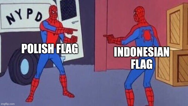 Why | POLISH FLAG; INDONESIAN FLAG | image tagged in spiderman pointing at spiderman | made w/ Imgflip meme maker