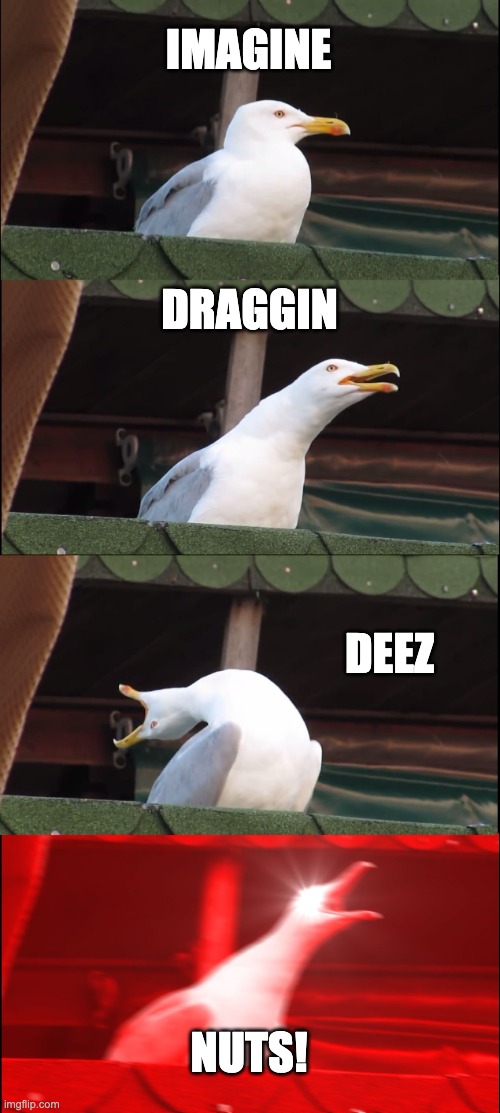 Eventually a woman came past and it shut up. | IMAGINE; DRAGGIN; DEEZ; NUTS! | image tagged in memes,inhaling seagull,imagine,deez nuts,funny,funny memes | made w/ Imgflip meme maker