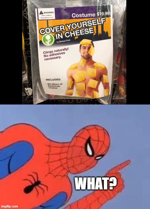 This is the best costume idea I've seen in a while... | WHAT? | image tagged in spider-man raising finger,memes,funny memes,cheese,cursed image,this is not okie dokie | made w/ Imgflip meme maker