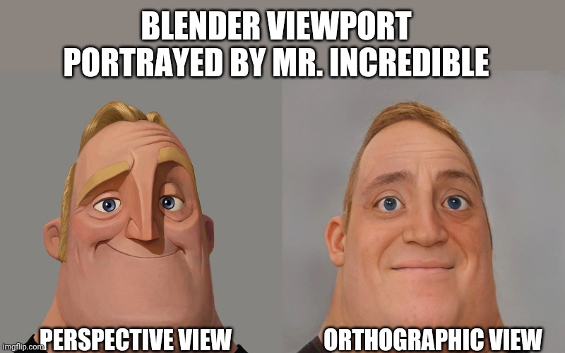 Blender Users will know | BLENDER VIEWPORT PORTRAYED BY MR. INCREDIBLE; PERSPECTIVE VIEW; ORTHOGRAPHIC VIEW | image tagged in mr incredibles | made w/ Imgflip meme maker
