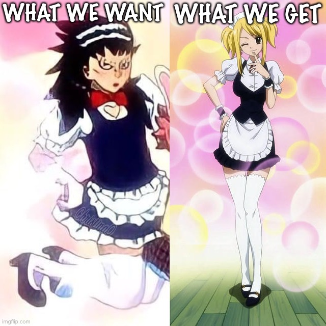Fairy Tail Gajeel Crossdressing Maid - Meme | WHAT WE WANT; WHAT WE GET | image tagged in memes,fairy tail,fairy tail meme,anime,trap,fanservice | made w/ Imgflip meme maker