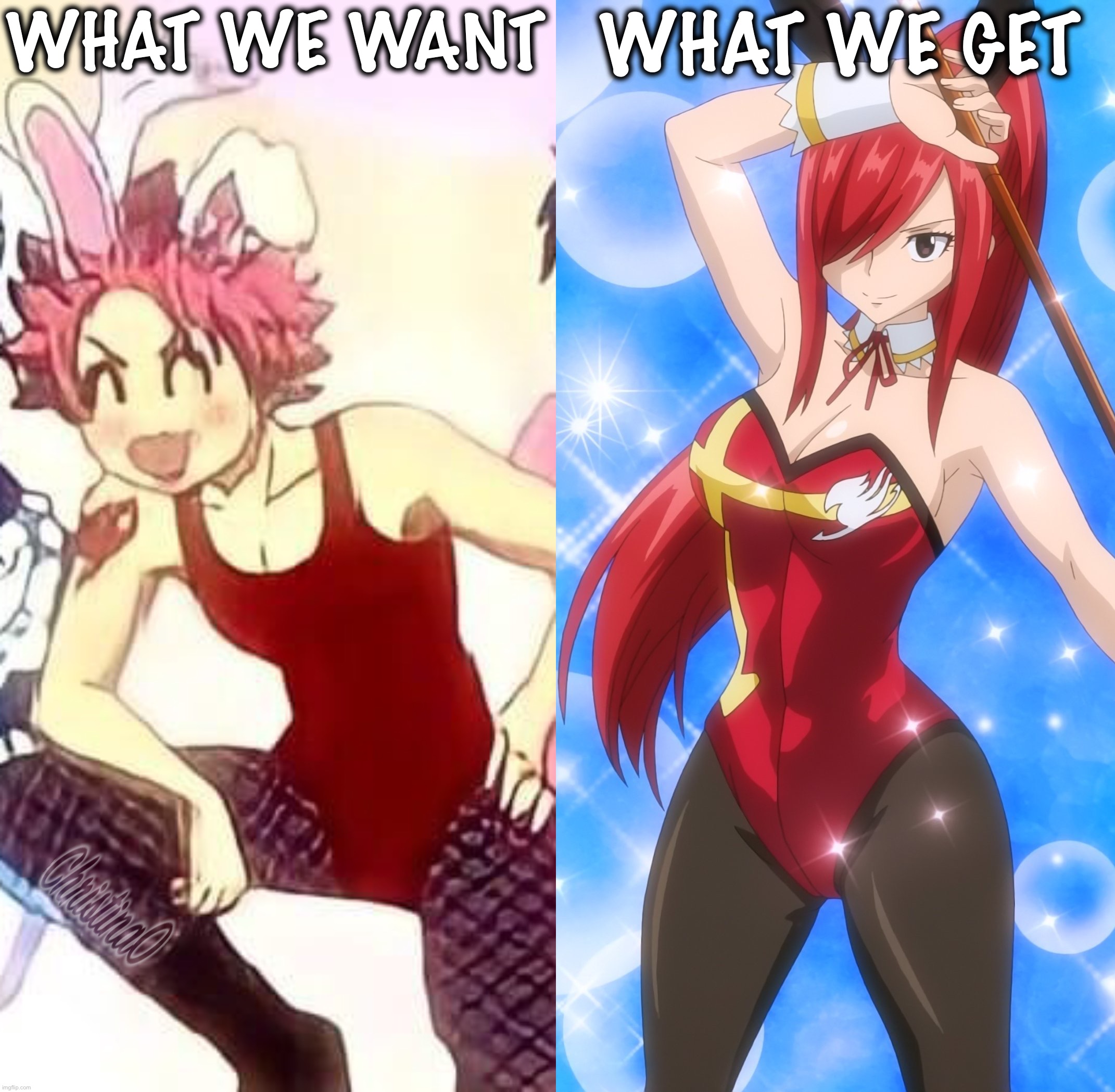 Fairy Tail Natsu Crossdressing Bunny - Meme | WHAT WE WANT; WHAT WE GET | image tagged in memes,fairy tail,fairy tail meme,anime,natsu dragneel,fanservice | made w/ Imgflip meme maker