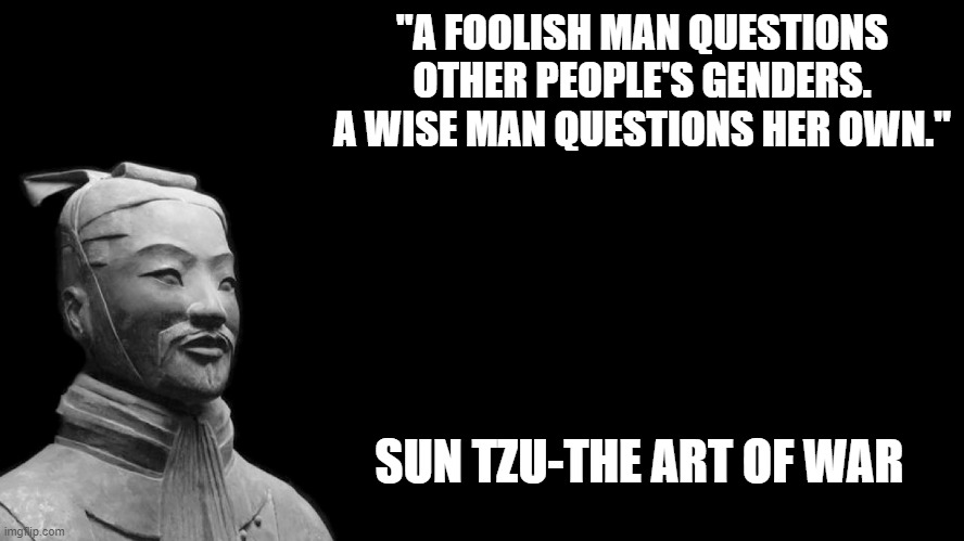 Most popular joke on r/Wiseposting |  "A FOOLISH MAN QUESTIONS OTHER PEOPLE'S GENDERS. A WISE MAN QUESTIONS HER OWN."; SUN TZU-THE ART OF WAR | image tagged in sun tzu | made w/ Imgflip meme maker