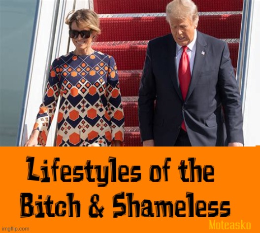 Lifestyles of the Bitch & Shamless | image tagged in donald trump,melania,scumbag,fruad | made w/ Imgflip meme maker