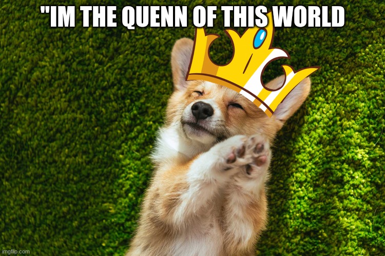 Quenn of this world | ''IM THE QUENN OF THIS WORLD | image tagged in quenn of the world | made w/ Imgflip meme maker