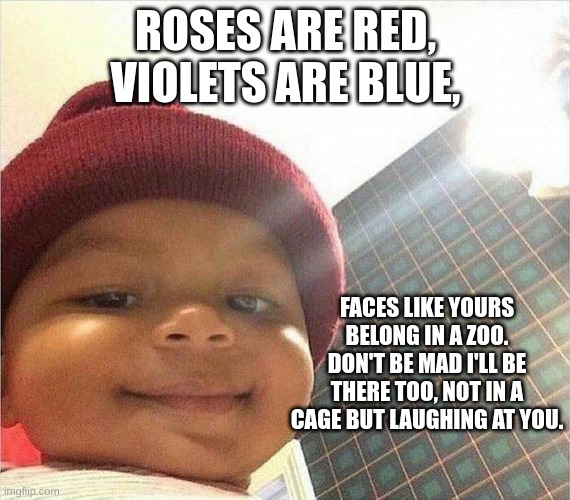 have a good day ;) |  ROSES ARE RED, VIOLETS ARE BLUE, FACES LIKE YOURS BELONG IN A ZOO. DON'T BE MAD I'LL BE THERE TOO, NOT IN A CAGE BUT LAUGHING AT YOU. | image tagged in roses are red violets are are blue | made w/ Imgflip meme maker