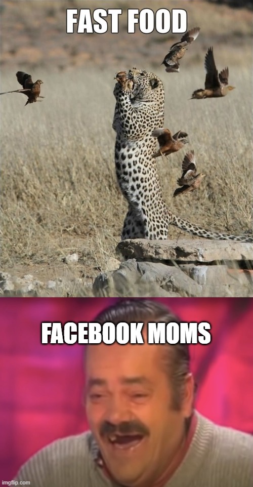 Image Tagged In Moms Imgflip