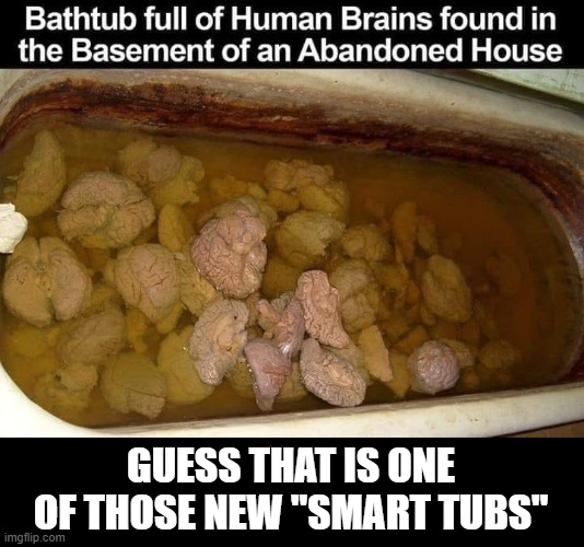 I thought a lot about this one ;) | GUESS THAT IS ONE OF THOSE NEW "SMART TUBS" | image tagged in human,brain,dark humor,funny memes,gross | made w/ Imgflip meme maker