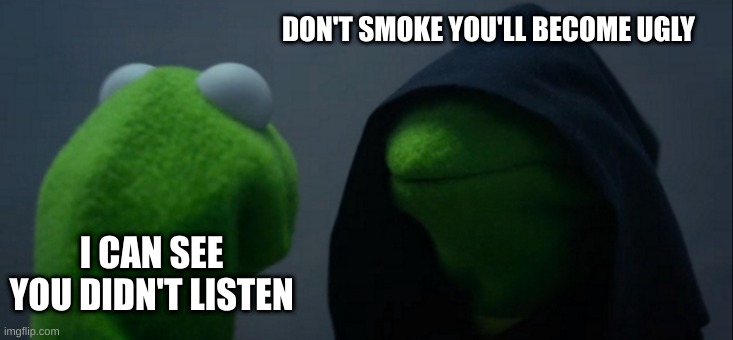 No smoker Kermit |  DON'T SMOKE YOU'LL BECOME UGLY; I CAN SEE YOU DIDN'T LISTEN | image tagged in memes,evil kermit | made w/ Imgflip meme maker