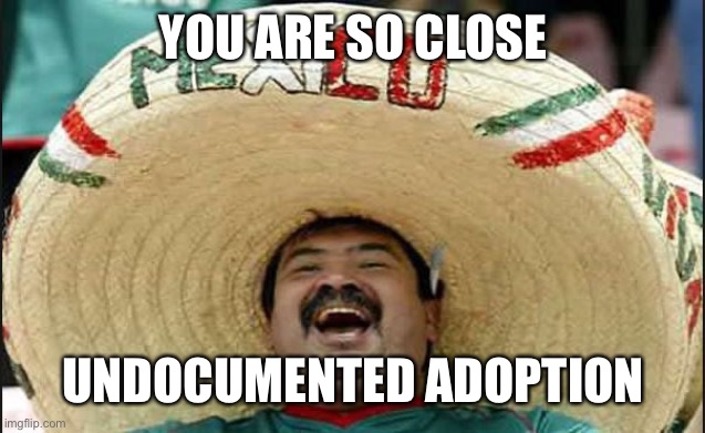 laughing mexican guy | YOU ARE SO CLOSE UNDOCUMENTED ADOPTION | image tagged in laughing mexican guy | made w/ Imgflip meme maker