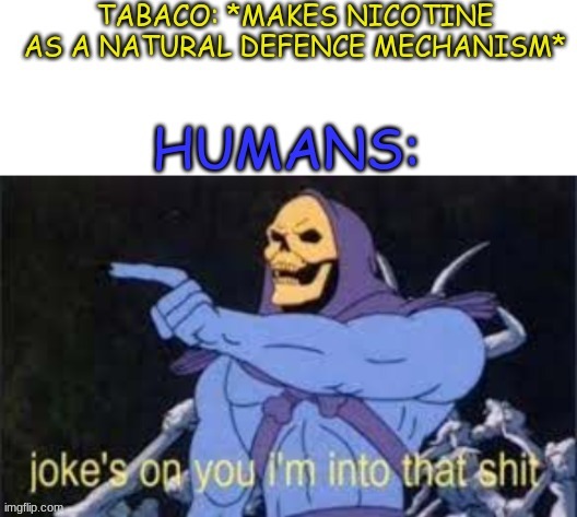 jokes on you, im into that | image tagged in jokes on you im into that shit,blank white template | made w/ Imgflip meme maker