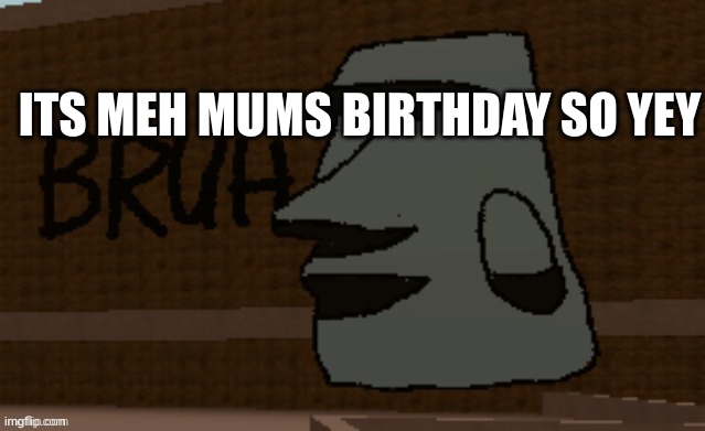 Bruh | ITS MEH MUMS BIRTHDAY SO YEY | image tagged in bruh | made w/ Imgflip meme maker