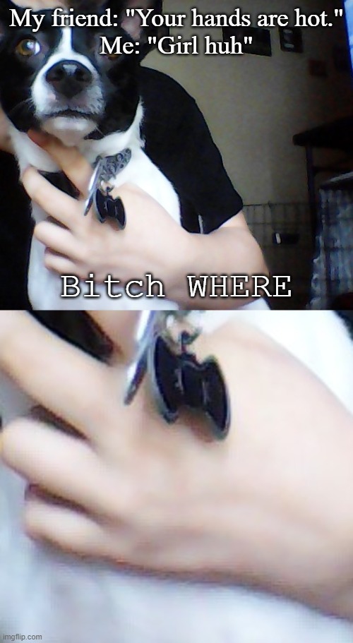 My friend: "Your hands are hot."
Me: "Girl huh"; Bitch WHERE | made w/ Imgflip meme maker