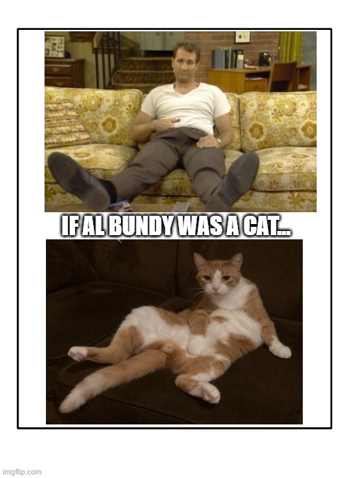 If Al Bundy Was a Cat |  IF AL BUNDY WAS A CAT... | image tagged in al bundy,cat | made w/ Imgflip meme maker