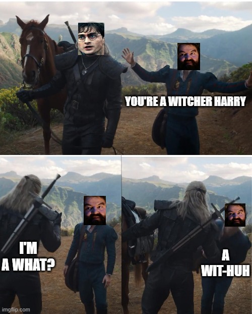 You're A Witcher! | YOU'RE A WITCHER HARRY; I'M A WHAT? A WIT-HUH | image tagged in witcher,harry potter,you're a wizard harry | made w/ Imgflip meme maker