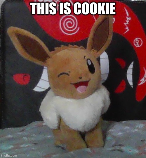 THIS IS COOKIE | made w/ Imgflip meme maker