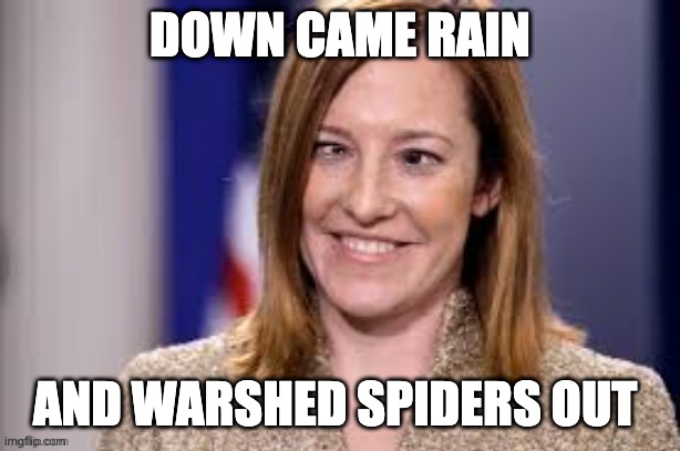 Dumb B jen psaki | DOWN CAME RAIN; AND WARSHED SPIDERS OUT | image tagged in dumb b jen psaki | made w/ Imgflip meme maker