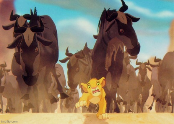 Lion King Stampede | image tagged in lion king stampede | made w/ Imgflip meme maker