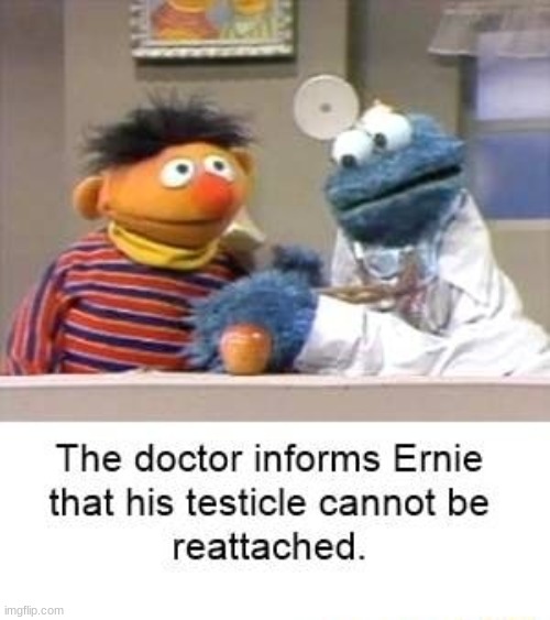 Do I Really Have to Say Anything? | image tagged in bert and ernie,testicles,cookie monster,doctor | made w/ Imgflip meme maker