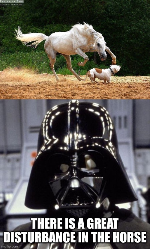 THERE IS A GREAT DISTURBANCE IN THE HORSE | image tagged in darth vader,horse,star wars | made w/ Imgflip meme maker