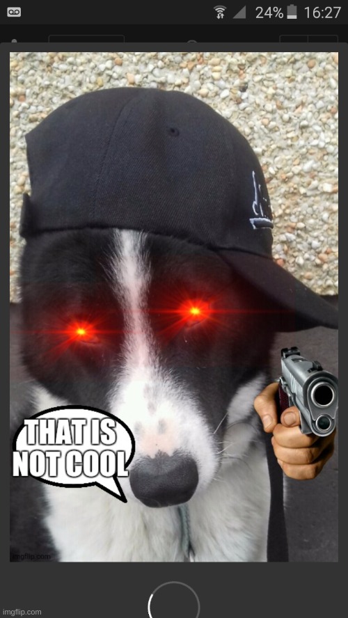 That is not cool | image tagged in that is not cool | made w/ Imgflip meme maker