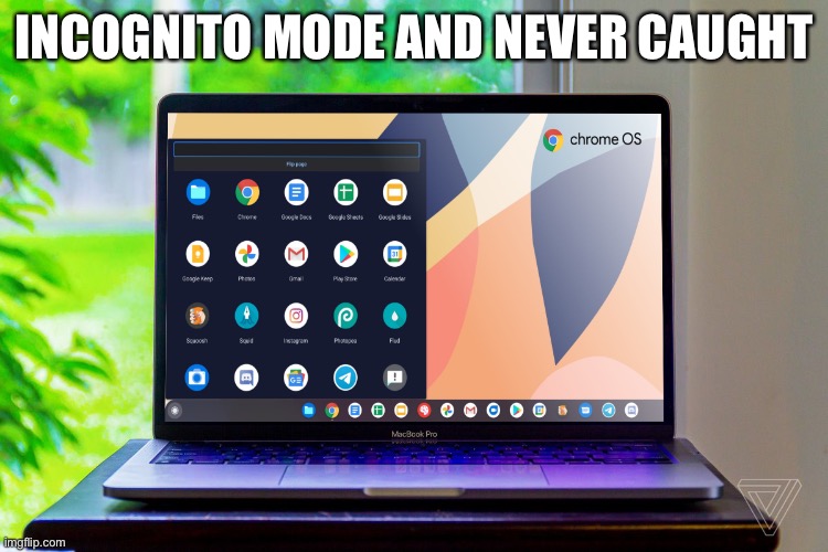 The Perfect Skin | INCOGNITO MODE AND NEVER CAUGHT | image tagged in microsoft,apple,google,linux | made w/ Imgflip meme maker