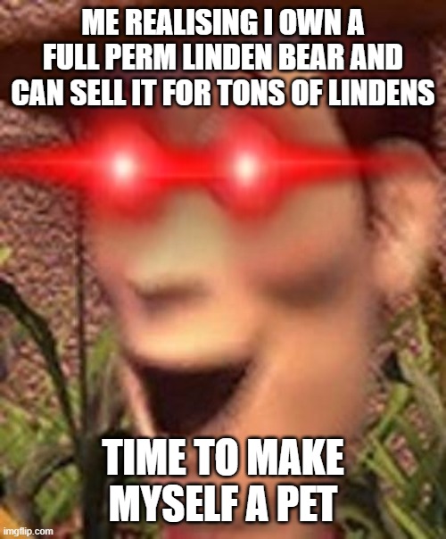how much for the admin bear | ME REALISING I OWN A FULL PERM LINDEN BEAR AND CAN SELL IT FOR TONS OF LINDENS; TIME TO MAKE MYSELF A PET | image tagged in admin,second life | made w/ Imgflip meme maker