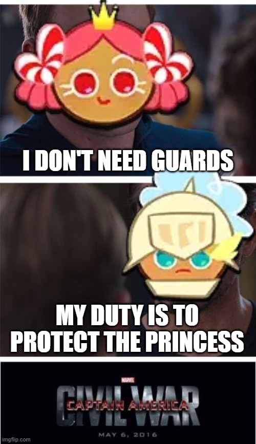 Marvel Civil War 1 Meme | I DON'T NEED GUARDS MY DUTY IS TO PROTECT THE PRINCESS | image tagged in memes,marvel civil war 1 | made w/ Imgflip meme maker