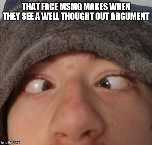 Josh crossing eyes | THAT FACE MSMG MAKES WHEN THEY SEE A WELL THOUGHT OUT ARGUMENT | image tagged in josh crossing eyes | made w/ Imgflip meme maker